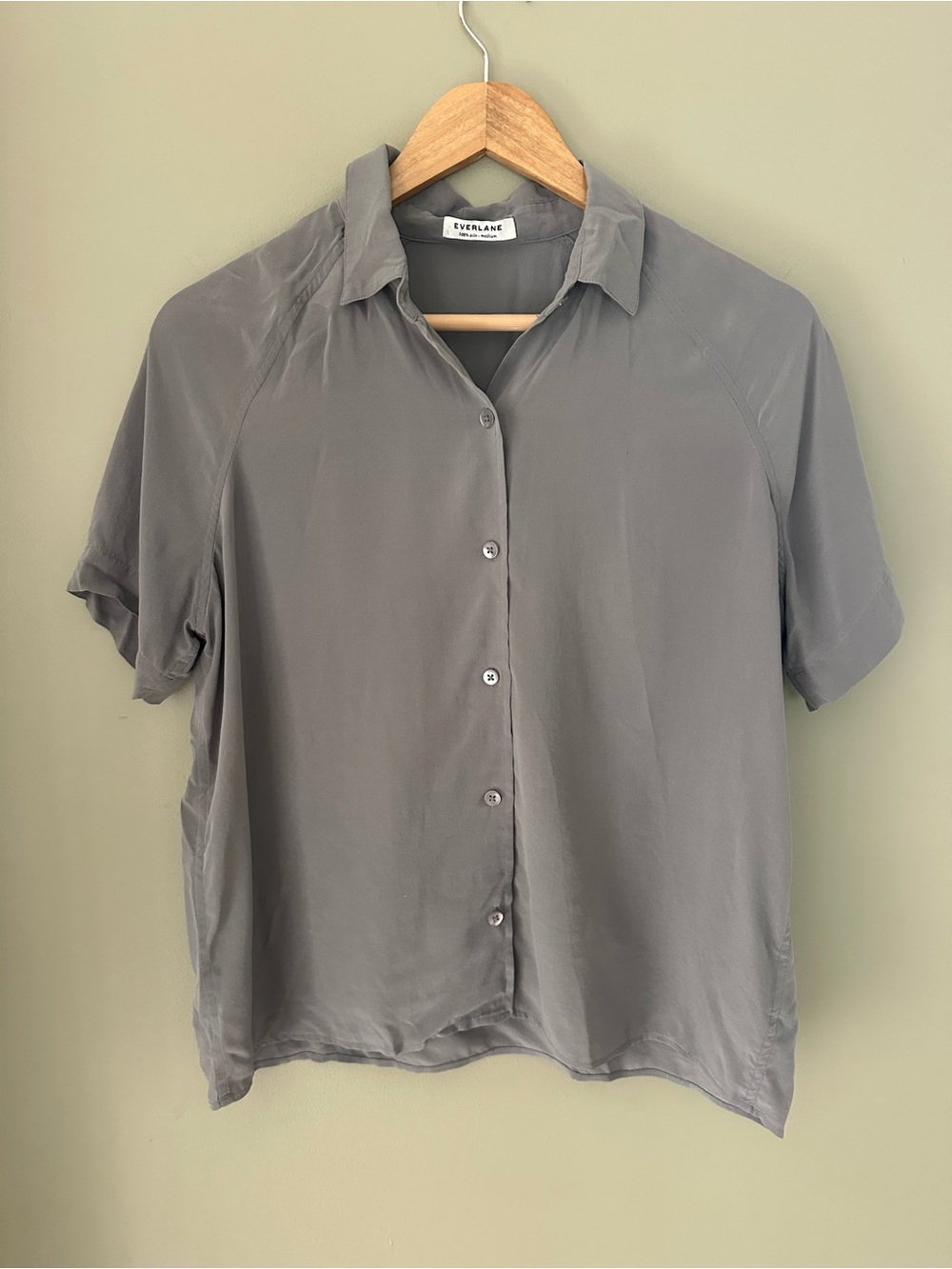 Everlane Silk Short-Sleeve Button-Down Shirt
